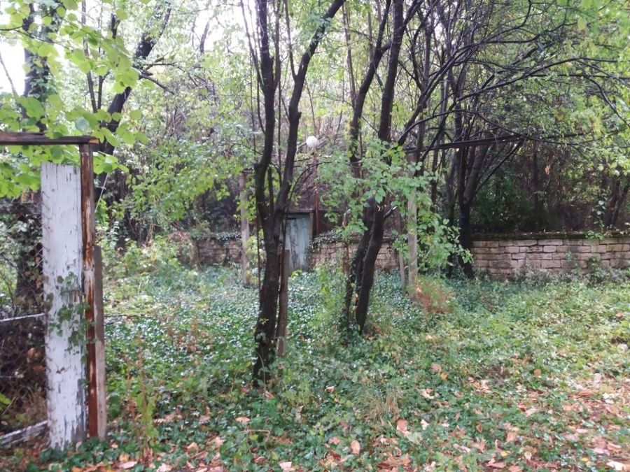 Снимка 349336491