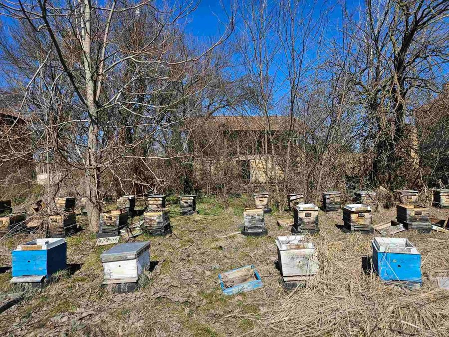 Снимка 349339083