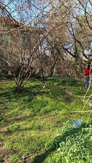 Снимка 349430985