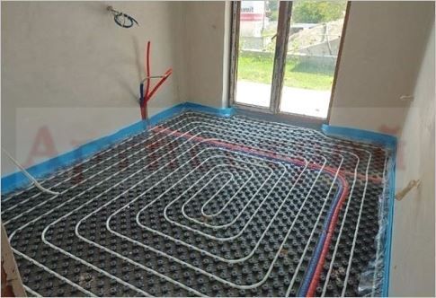 Снимка 350343669