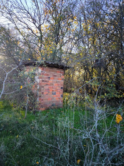 Снимка 350567952