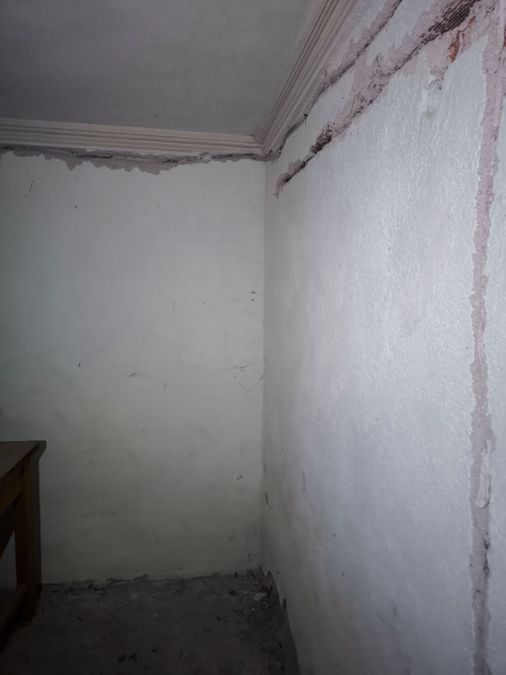 Снимка 350567958