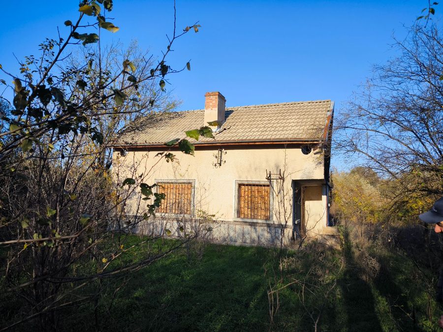 Снимка 350567976