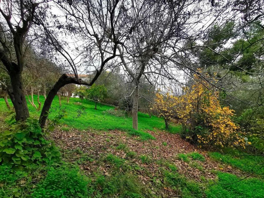 Photo 350679186