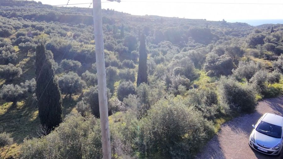 Photo 350960346