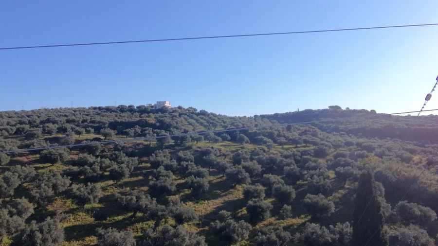 Photo 350960349