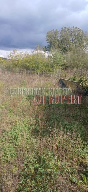 Снимка 351067530