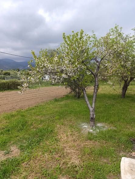 Photo 351157872