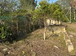 Photo 351379098