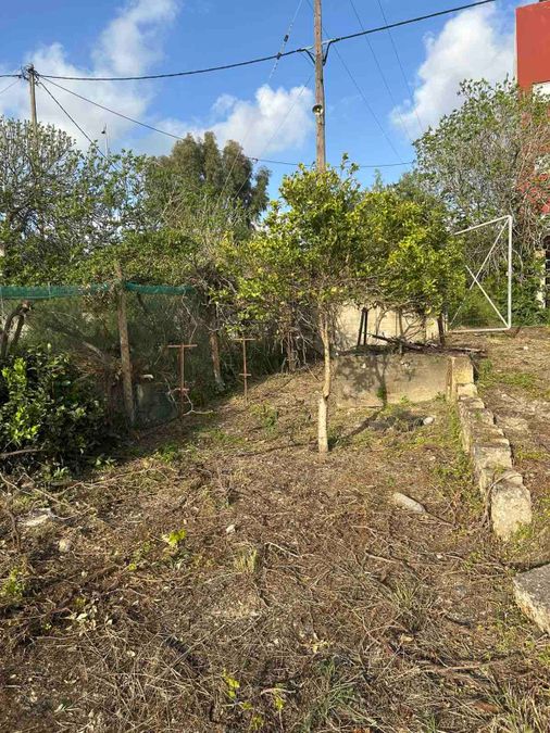 Photo 351379098