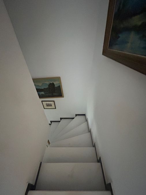 Photo 351496320
