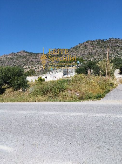 Photo 351706110