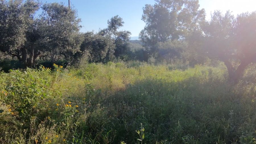 Photo 351750738