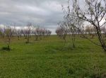 Photo 351759276
