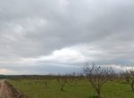 Photo 351759285
