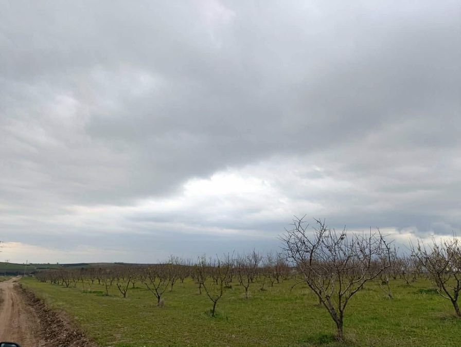 Photo 351759285