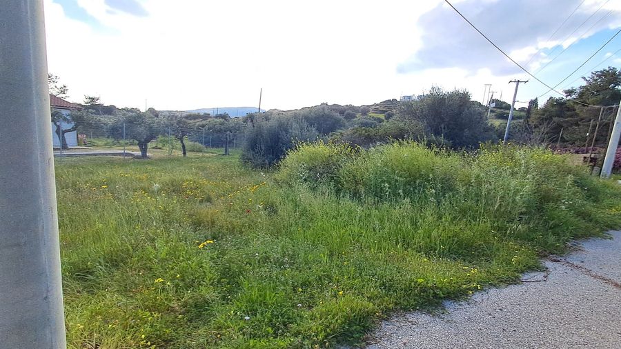 Photo 351791832