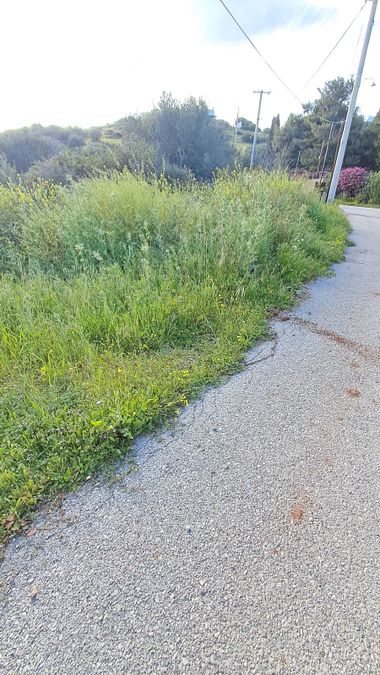 Photo 351791850