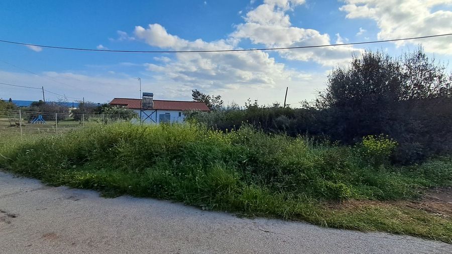 Photo 351791952