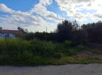 Photo 351791955