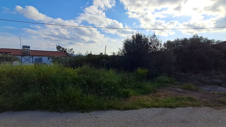 Photo 351791955