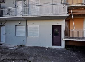 Photo 351975642