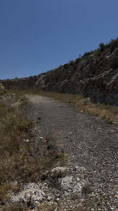 Photo 352031655