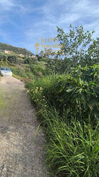 Photo 352055595