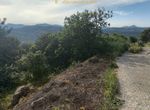 Photo 352055601