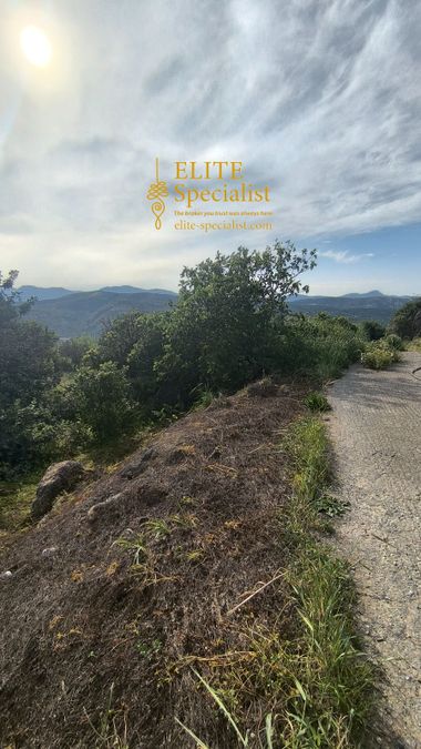 Photo 352055601