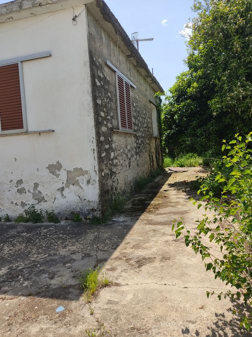 Photo 352165311
