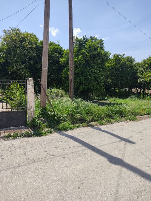 Photo 352165329