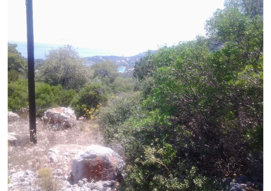 Photo 352293570