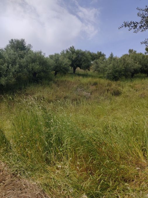Photo 352294131