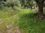 Photo 352294134