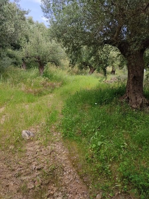 Photo 352294134