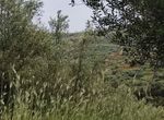 Photo 352294137
