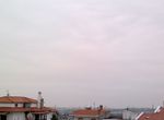 Photo 352555584