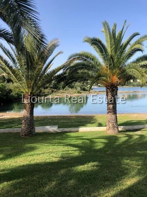 Photo 353099133