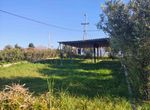 Photo 353225034