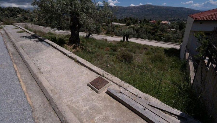 Photo 353375505