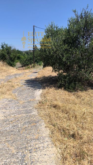 Photo 353736768