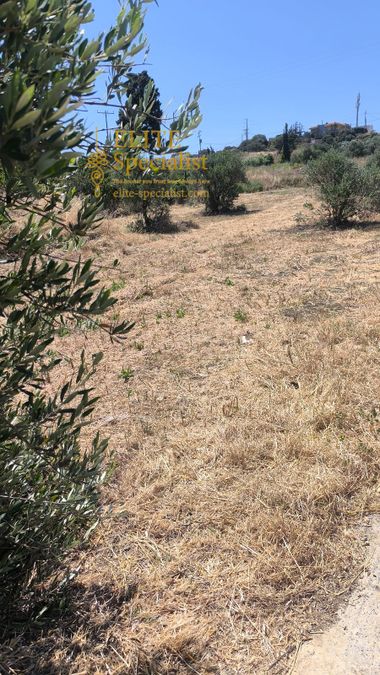 Photo 353736771