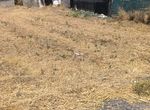 Photo 353737008