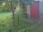 Photo 353978718