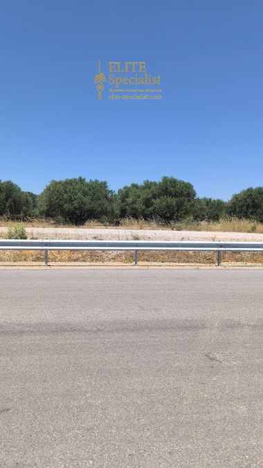 Photo 354104580