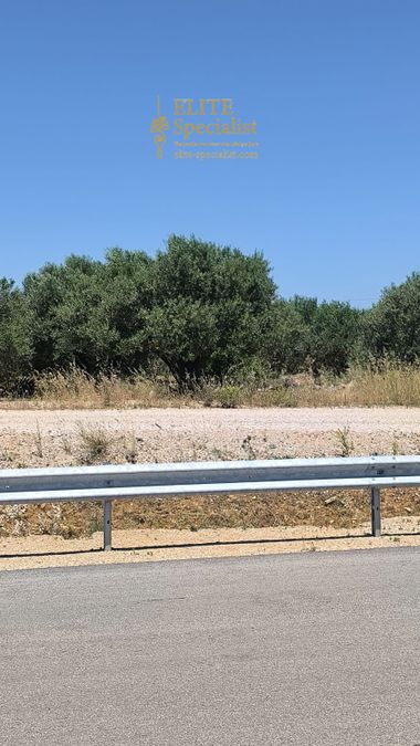 Photo 354104583
