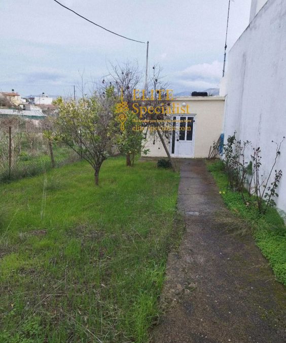 Photo 354226923