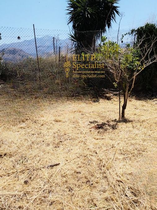 Photo 354226926