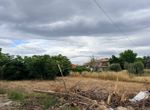Photo 354301647